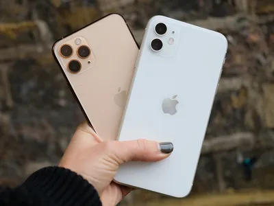 iPhone 11 Pro and 11 Pro Max review: The ultimate camera | Mashable