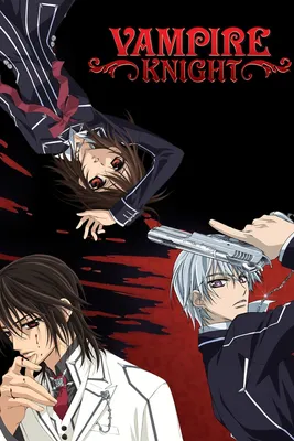 Рыцарь-вампир / Vampire Knight - аниме постер (ID#1821658088), цена: 30 ₴,  купить на Prom.ua