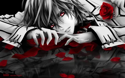 Обои на рабочий стол Канаме Куран из аниме Рыцарь-Вампир / Vampire Knight  (wallpaper by theJADEDnetwork), обои для рабочего стола, скачать обои, обои  бесплатно