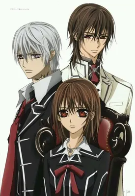 Vampire Knight | Рыцарь-вампир, Вампиры, Рыцарь