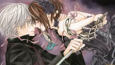 Обои Аниме Vampire Knight, обои для рабочего стола, фотографии аниме,  vampire knight, vampire, knight, седзе, девушка, рыцарь, вампир, юки,  куран, парень Обои для рабочего стола, скачать обои картинки заставки на  рабочий стол.