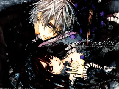 Vampire Knight-Рыцарь Вампир | ВКонтакте