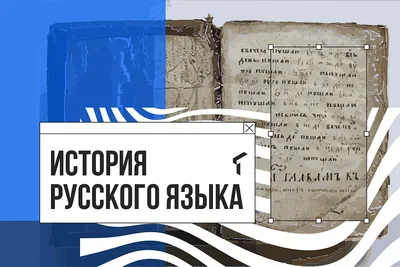 Рабочий лист по русскому языку «Приложение. Знаки препинания при нём»