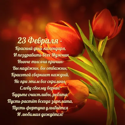 С 23 февраля!