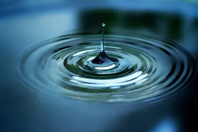 маленькие капли воды в воде, вода, капли фон картинки и Фото для бесплатной  загрузки