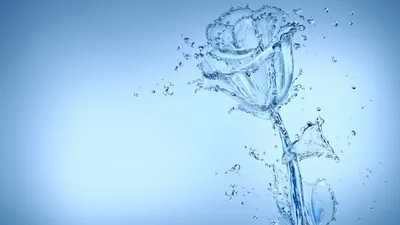 Обои на смартфон: капли воды