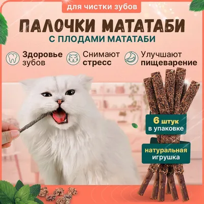 Сухой корм, Purina Pro Plan Cat, для стерилизованных кошек и кастрированных  котов, с индейкой купить с доставкой в интернет-магазине зоогастроном.ру