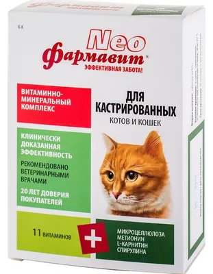 Лишай у кошек и котов - симптомы и лечение: шампуни, мазь, уколы и таблетки