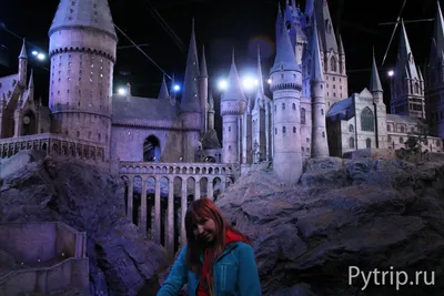 LEGO: Битва за Хогвартс Harry Potter 76415 – YOYO