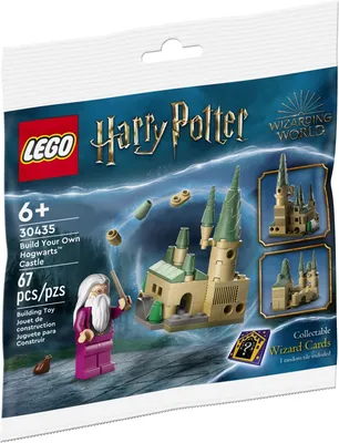 Официальное LEGO 76419 Территория и Замок Хогвартс онлайн в bricksadd.com.ua