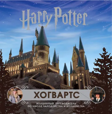 Купить LEGO Harry Potter 76415 Битва за Хогвартс в Минске