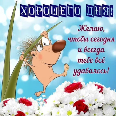 Хорошего дня и отличного настроения! 120 картинок