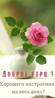 Картинки по запросу хорошего настроения на весь день гиф | Beautiful gif,  Beautiful roses, Flowers gif