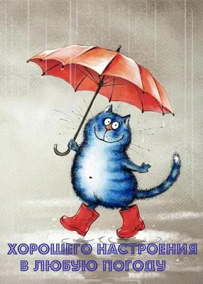 Картинки хорошего настроения в дождливую погоду (30 фото) » Юмор, позитив и  много смешных картинок