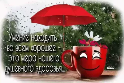 Хорошего настроения в любую погоду от Михалыча! - 5МИНУТКА - 19 сентября -  43004604924 - Медиаплатформа МирТесен