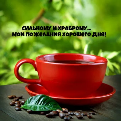 💌☀️😄 Картинки Хорошего дня - скачать (226 шт.)