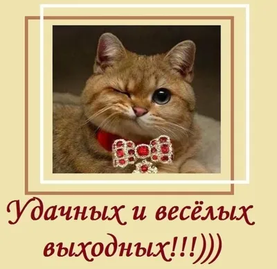 Хороших выходных картинки (82 лучших фото)