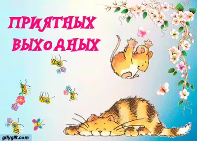 Открытки с пожеланием ХОРОШИХ ВЫХОДНЫХ с юмором и шутками