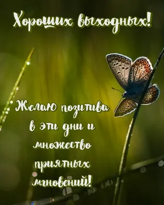 Открытки замечательных выходных - 74 фото
