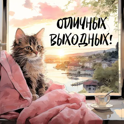 Прикольные картинки хороших Выходных и отличного настроения (45 картинок) -  ФУДИ