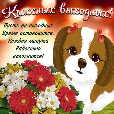 Картинки и мемы, всем хороших выходных - ЯПлакалъ