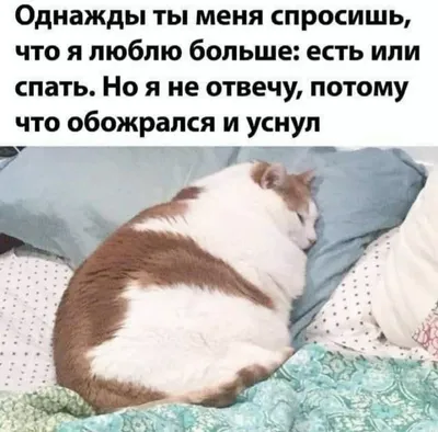 Прикольные открытки с выходными днями (68 фото)