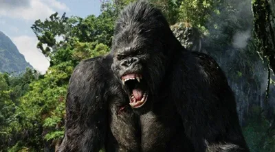 Игровая фигурка «Кинг-Конг гигант», Godzilla vs. Kong - Купить в Украине |  БАВА