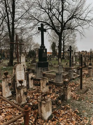 Шум над погостом. Что реально происходит с русским кладбищем  Сент-Женевьев-де-Буа и почему российская пропаганда прикопалась к Франции —  Новая газета