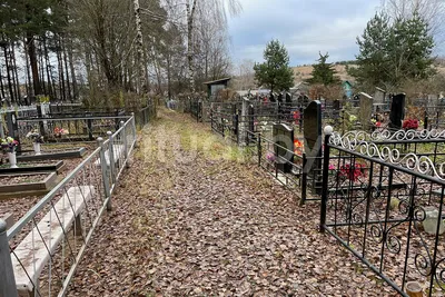 Часов Яр: кладбище на окраине повреждено| Вільне радіо