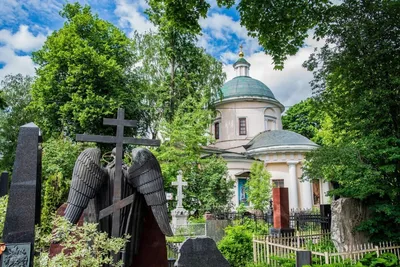 Мрачная история случилась на подмосковном кладбище
