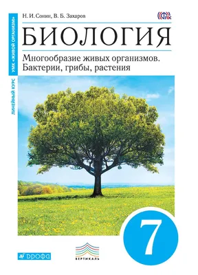 Компенсация хирургического скелетного 2 класса - ответы. - интересно об  ортодонтии, имплантации и протезировании зубов