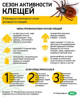 ОСТОРОЖНО: КЛЕЩИ!