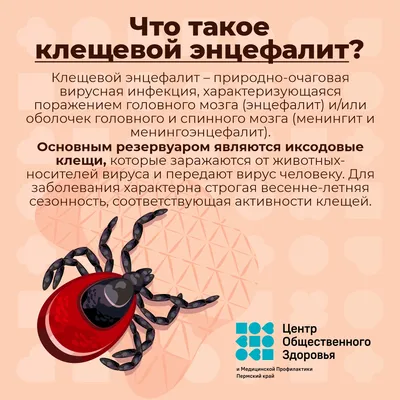 Как защититься от клещей?» – Клопицкое сельское поселение Волосовский район