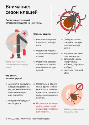 Энтомолог КФУ спрогнозировал пик активности клещей | Медиа портал -  Казанский (Приволжский) Федеральный Университет
