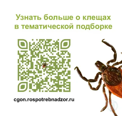 Осторожно! Наступил сезон клещей!