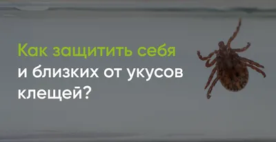 Внимание: сезон клещей,