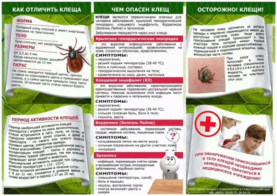 Опасность клещей | PUUGIINFO.EE