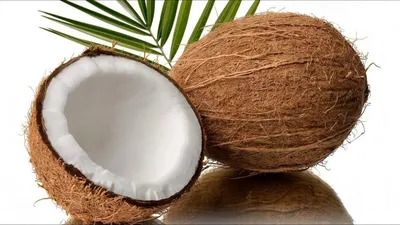 Картинки кокоса фотографии