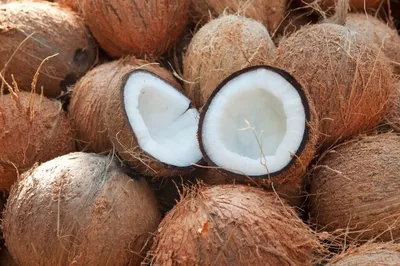 Чем полезен кокос и что из него приготовить | Новости и статьи ВкусВилл:  Москва и область