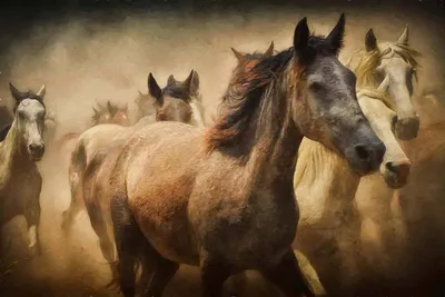 Тройки коней в упряжках колесниц в древности | Историк Античности | Дзен