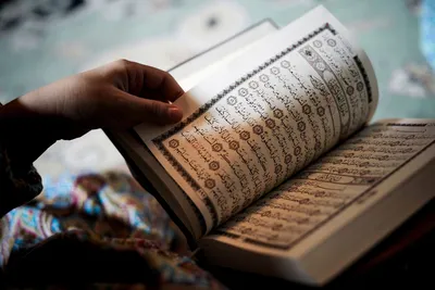 Коран с таджвидом на арабском языке