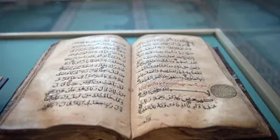 В Дании опять сжигали Коран | Inbusiness.kz