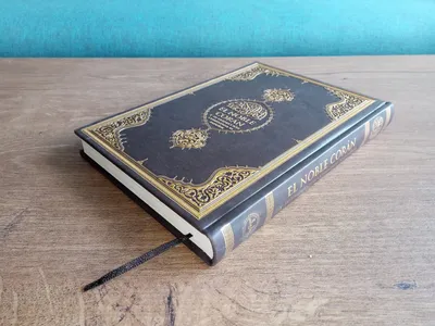 Антиисламист в Нидерландах разорвал Коран (Haber7, Турция) | 24.01.2023,  ИноСМИ