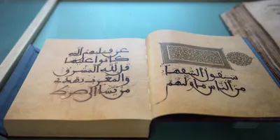 Коран на русском языке с таджвидом, транслитериацией. Коран 4 в 1. - купить  с доставкой по выгодным ценам в интернет-магазине OZON (1076156438)