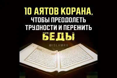 Перевод-тафсир Корана Аль-Мунтахаб (подарочная кожаная книга) | ELITKNIGI.RU