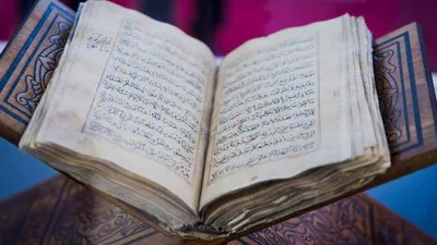 Сожжение Корана: наказание