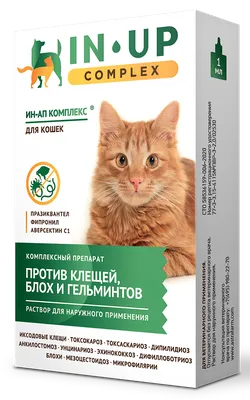 Мильбецин Нео для кошек 4-16 кг упаковка, 2 таб купить по низкой цене с  доставкой - БиоСтайл