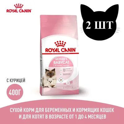 Породы кошек и котов: классификация по типу шерсти, окрасу