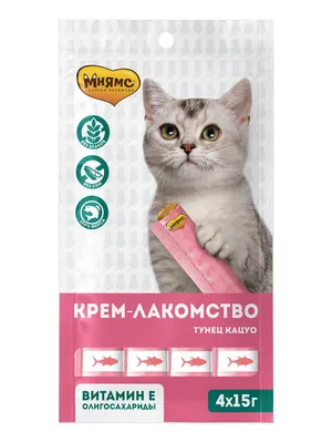 Гигиена полости рта у котов и кошек: правила и советы