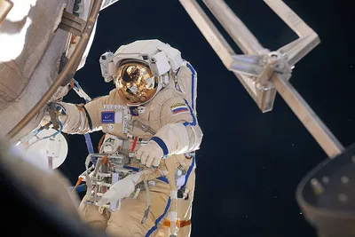 Профессия космонавт: описание профессии, где учиться, работать, плюсы и  минусы профессии